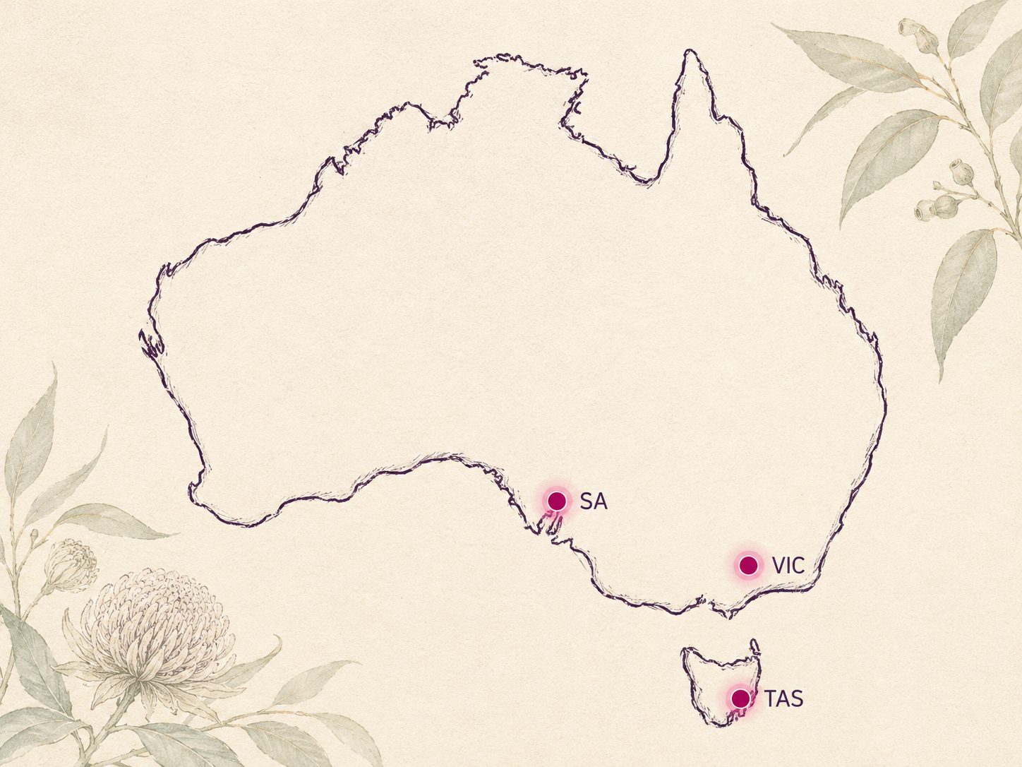 Hand-drawn editorial map of Australia with magenta pins marking Victoria, South Australia and Tasmania